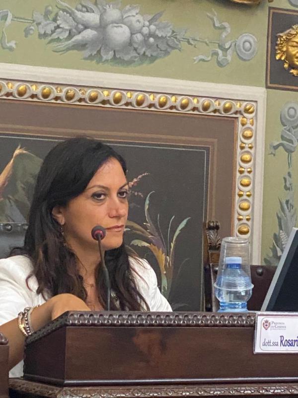La Provincia di Cosenza ha approvato il Rendiconto di gestione 2021