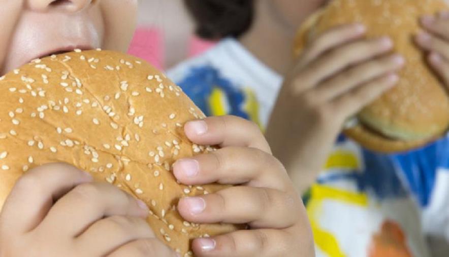 images In Italia è grasso un minore su quattro: i bambini e gli adolescenti in sovrappeso e obesi sono concentrati soprattutto al Sud 