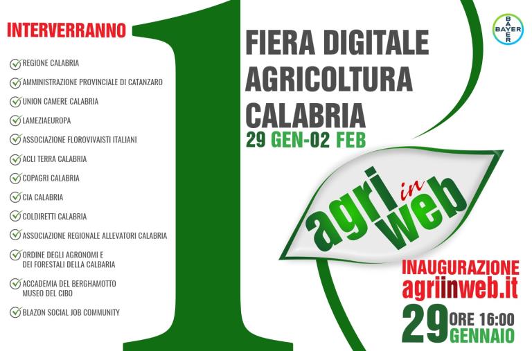 images Il ministro delle politiche agricole Bellanova parteciperà alla prima fiera virtuale della Calabria: oggi pomeriggio sul web