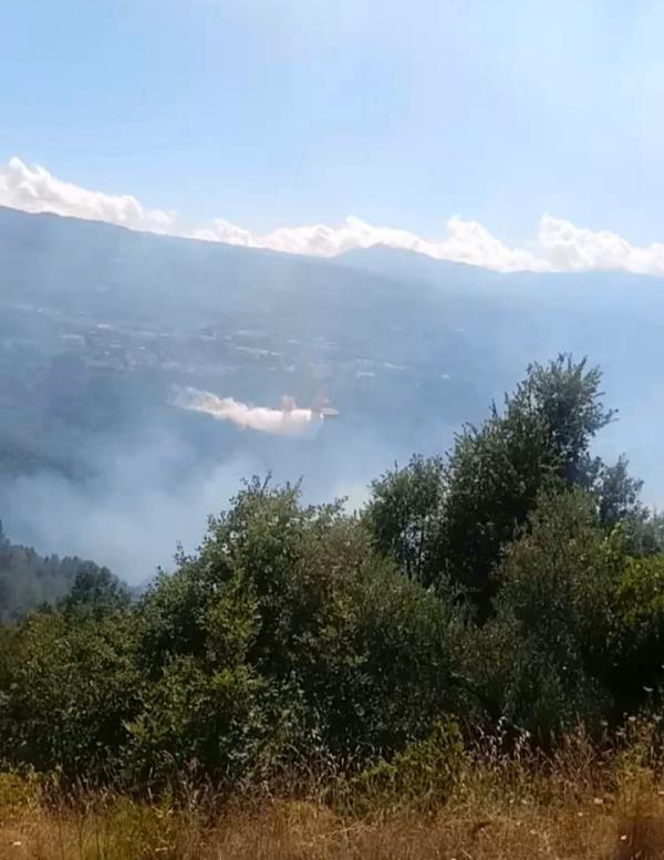 images Quaranta roghi nell'ultima domenica di luglio in Calabria. Vasto incendio a Casali del Manco