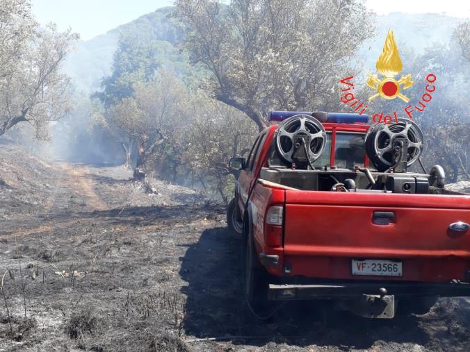 images A Siano brucia la macchia mediterranea (VIDEO)