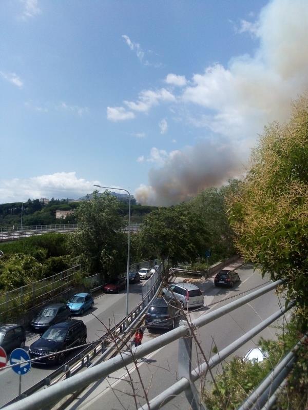 images Incendio a Catanzaro di fronte al Parco della Biodiversità