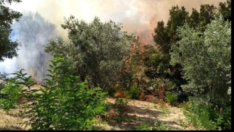 images Tiriolo, un incendio si avvicina al centro abitato: fiamme domate dai Vigili del fuoco (VIDEO)
