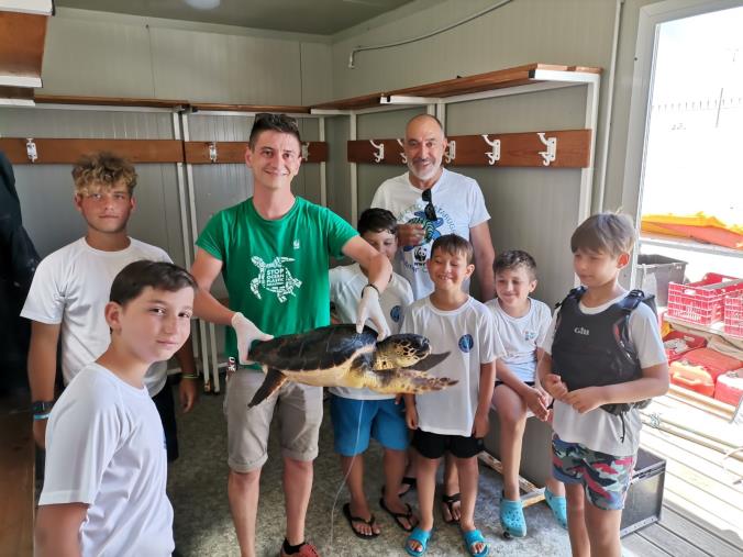 images Guarita la tartaruga “Caretta caretta” soccorsa dal Club Velico Crotone