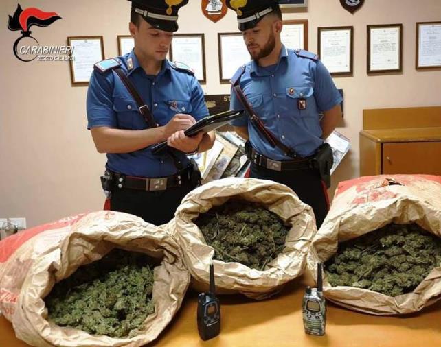 images Non funghi ma 9 chili di marijuana, tre arresti dei carabinieri a San Luca 