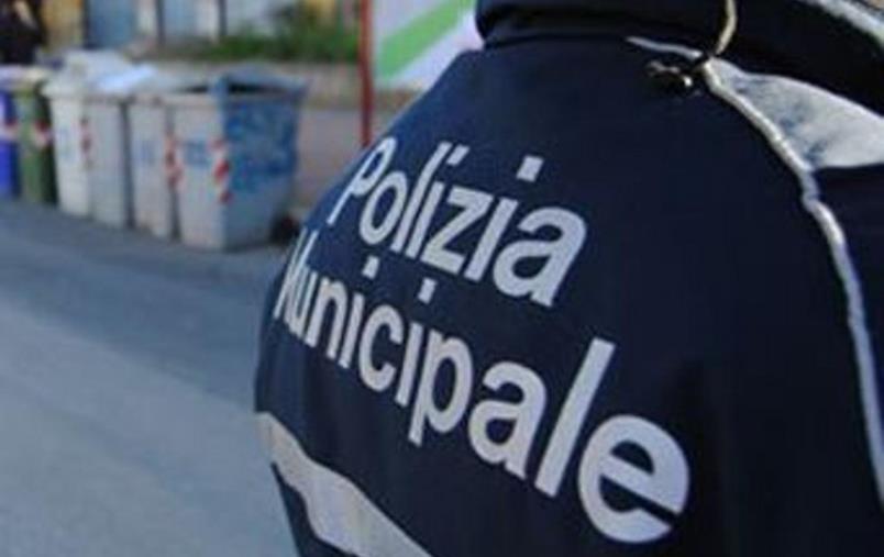 images Catanzaro, la Polizia locale invita a restituire Pass per sosta auto per diversamente abili scaduti: a breve controlli a tappeto