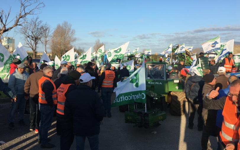 La protesta degli olivicoltori: il corteo dei trattori invade Lamezia Terme