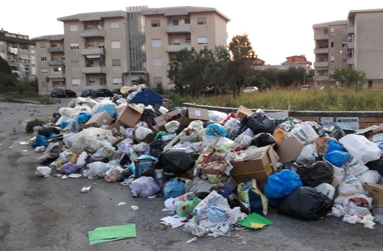images Emergenza rifiuti, le associazioni di Lamezia allarmate: "Serio rischio igienico-sanitario"