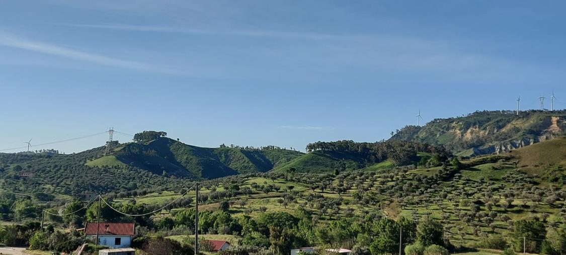 images Marcellinara. Scerbo: "La Regione blocchi il nuovo Parco eolico"