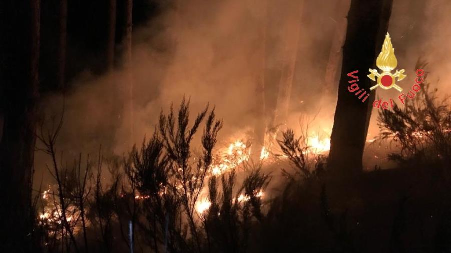 images Notte di fiamme nel catanzarese: incendi nel lametino e nella Presila 