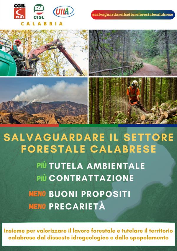 images Cgil, Cisl e Uil Calabria chiedono alla Regione un incontro sulla crisi economica del settore forestale