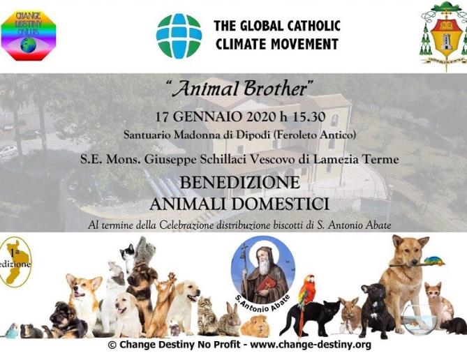 A Feroleto Antico venerdì riprende l'antica tradizione della benedizione degli animali domestici