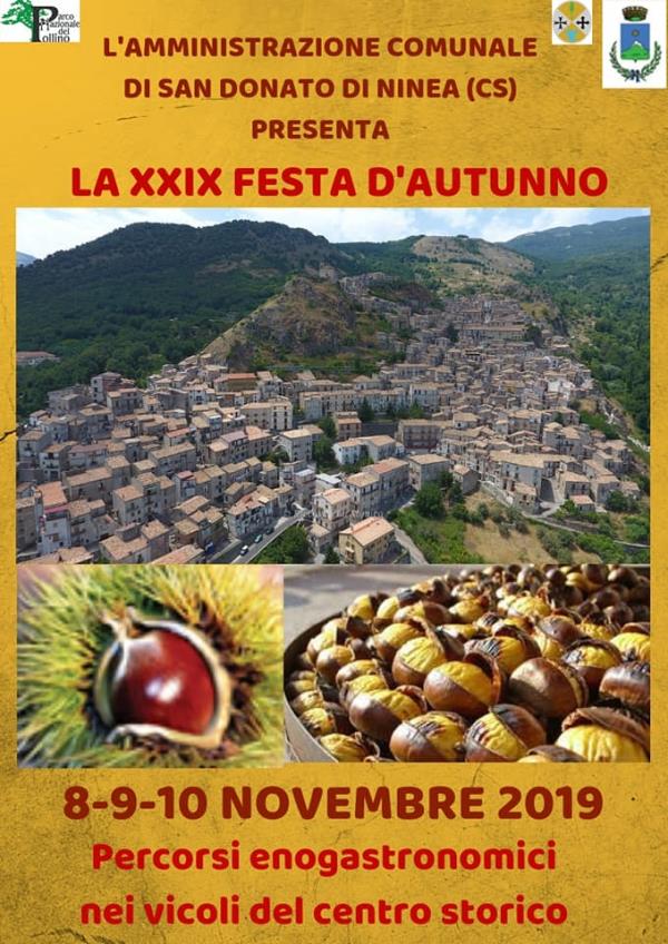 images San Donato di Ninea: si lavora per la festa d’autunno, a novembre 3 giorni dedicati alla castagna