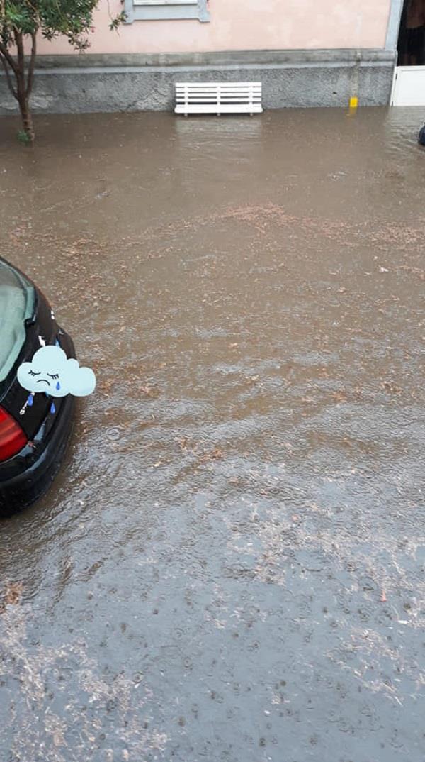 images Maltempo. La pioggia e il vento fanno crescere il livello dei fiumi a Catanzaro e Cosenza