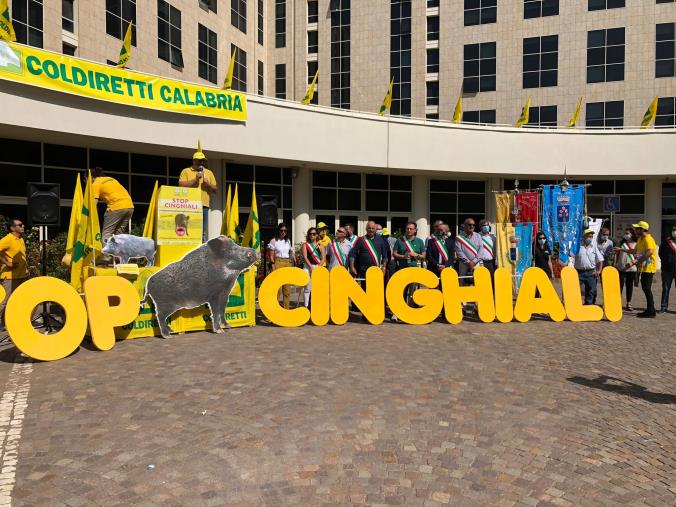 images #Noiseminiamoicinghialiraccolgonobastacinghiali. In scena alla Cittadella il flash-mob di Coldiretti Calabria (FOTO)