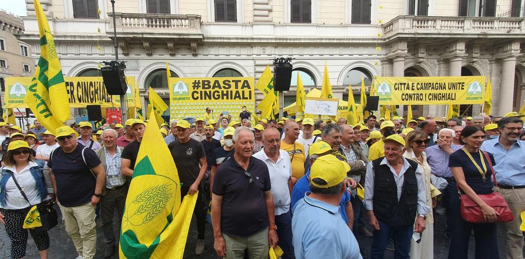 images Invasione dei cinghiali, Coldiretti Calabria presente alla manifestazione di Roma