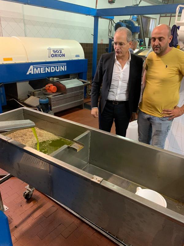 images Elezioni a Lamezia, Mascaro incontra i produttori olivicoli 