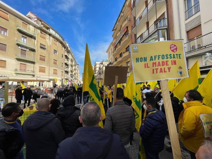 images Speculazioni e caro-energia, Coldiretti Calabria è scesa in piazza: "Situazione devastante, aziende a rischio chiusura" 