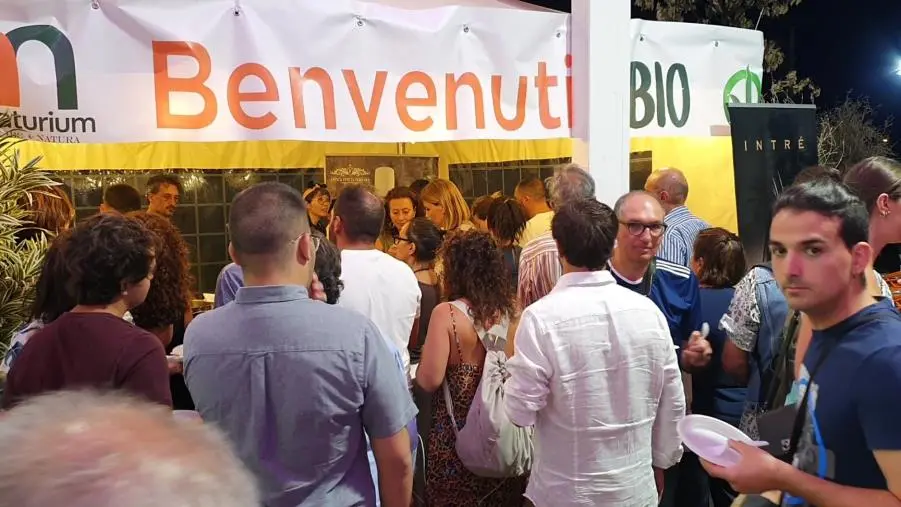 Montepaone celebra il Vegan Fest Naturium: sostenibilità ambientale e alimentazione cruelty-free 