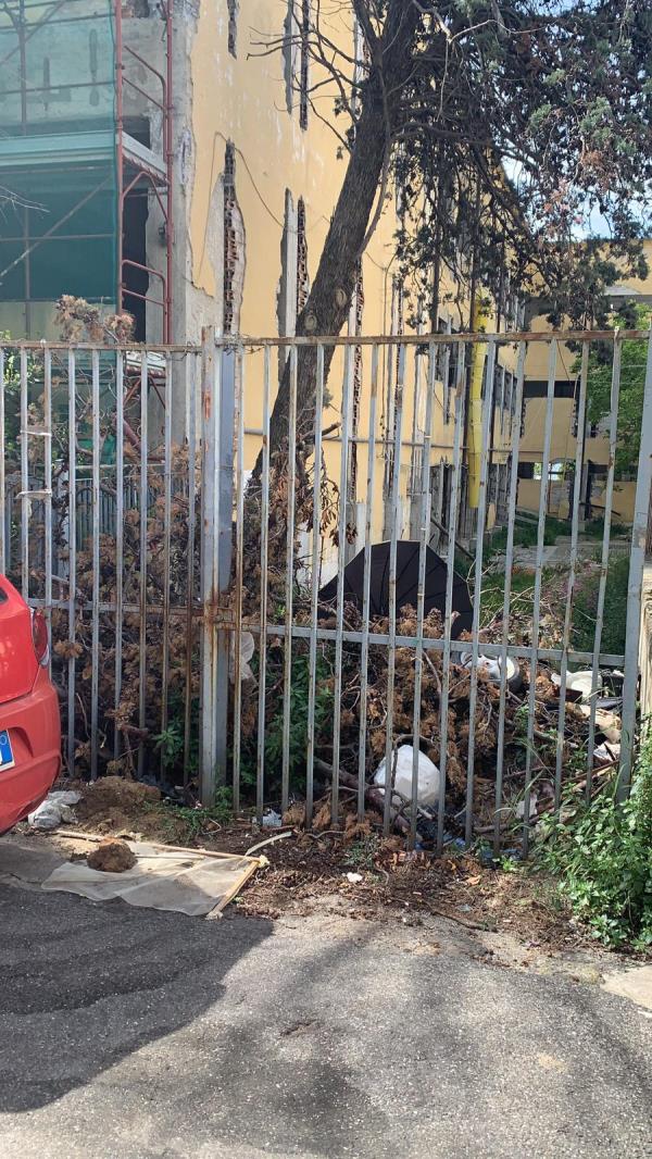 images Il cortile della scuola Mazzini, nel centro storico di Catanzaro, usato come una discarica. Veraldi: "Non bastavano gli alberi pericolanti"