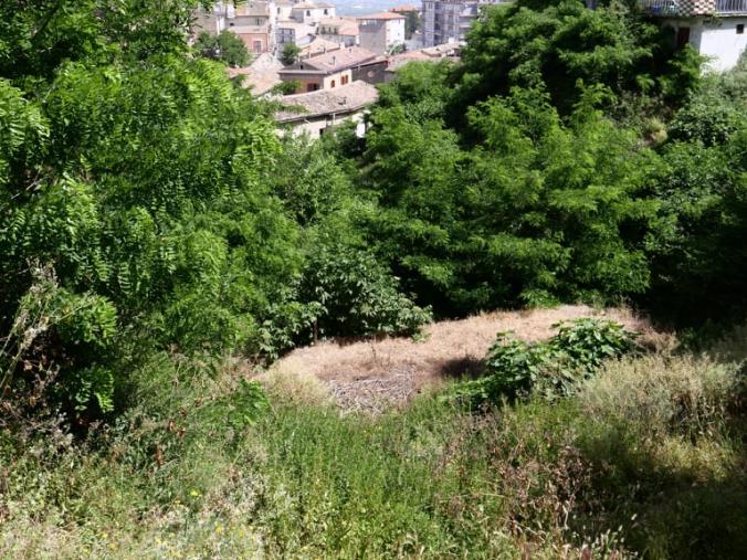 images A Corigliano Rossano l'Orto Tramonti è nell’abbandono, Pistoia (Unione è forza): "Offesa al centro storico e fonte di pericolo"