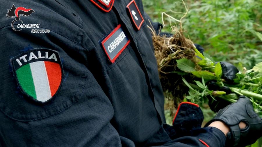 Palmi, chili di marijuana occultata in un sacco: arrestato 58enne 