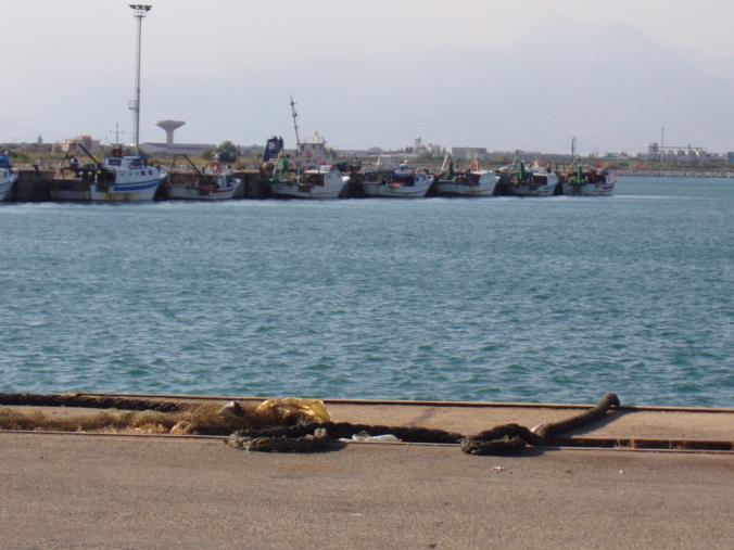 images  Coronavirus. Il vice sindaco di  Corigliano Rossano chiede di anticipare il periodo di interruzione obbligatoria della pesca 