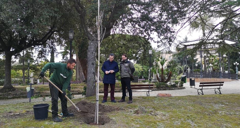 Anche il Comune di Catanzaro aderisce a “M’illumino di meno”. Piantumato un'albero a Villa Margherita