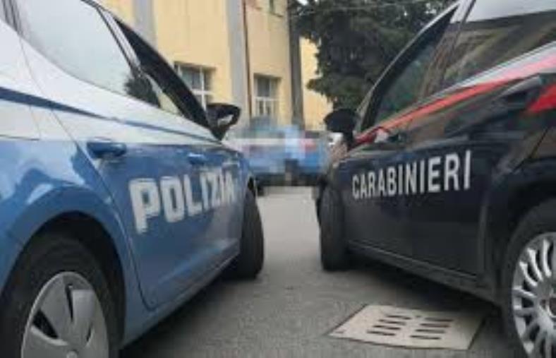 images Latitante siciliano arrestato in Calabria: è accusato di omicidio  