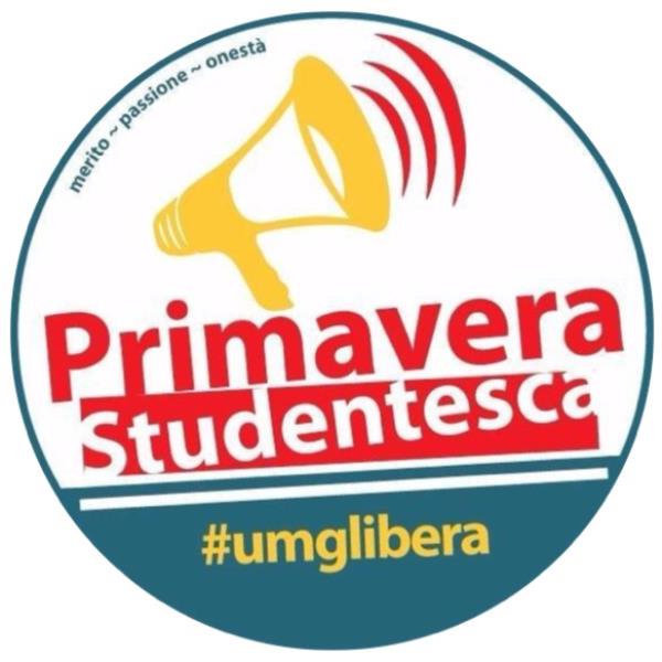 images Università. Primavera Studentesca (UMG) si rivolge al presidente Santelli per dire basta "all’idoneo non beneficiario"