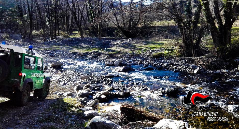 images Sorpresi a trafugare legna nel Parco nazionale d'Aspromonte: due denunce