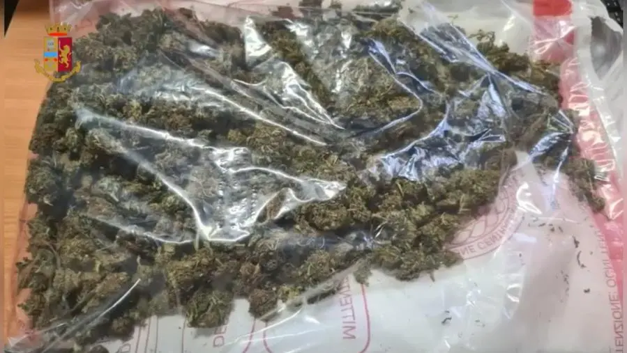 images Pizzo, detenevano mezzo chilo di marijuana: arrestati 