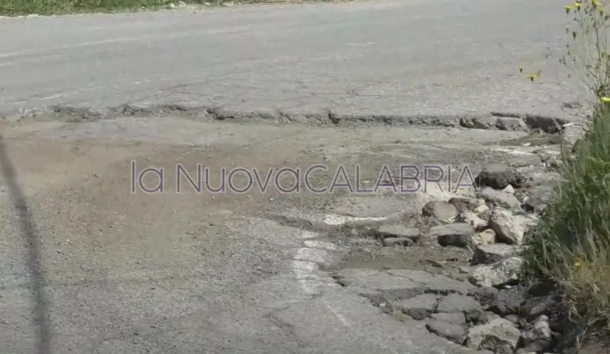 images Catanzaro, il Comitato di Viale Tagliamento: "Strade dissestate dai mezzi pesanti" (VIDEO)