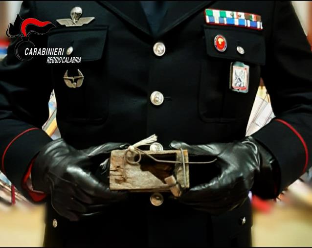Taurianova. I Carabinieri denunciano un agricoltore 63enne. Nascondeva  72 ghiri catturati illegalmente in un casolare