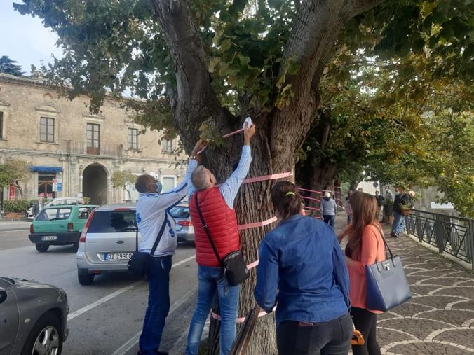 images Tiriolo si prepara al Giro d'Italia tingendosi di rosa (FOTO)