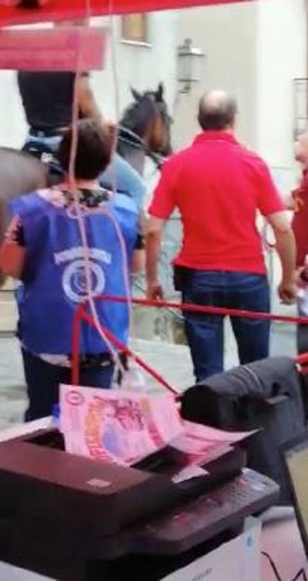 images Tragedia sfiorata alla festa dei bimbi a Gimigliano: ubriaco a cavallo denunciato (VIDEO)