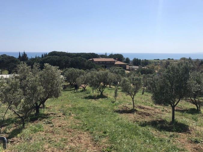 "Pane, olio e fantasia", l'oro verde protagonista all'Istituto Agrario "Vittorio Emanuele II" di Catanzaro (VIDEO)