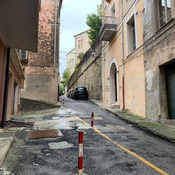 Topi a passeggio nel centro storico di Catanzaro: un'emergenza tra l'emergenza (VIDEO)