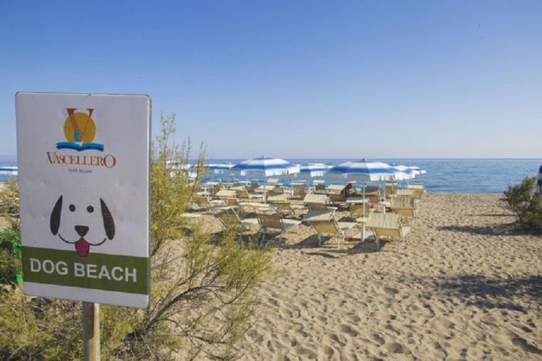 images Cariati, Villaggio Vascellero dovrà restituire i terreni ai cittadini e pagare le tasse mai corrisposte