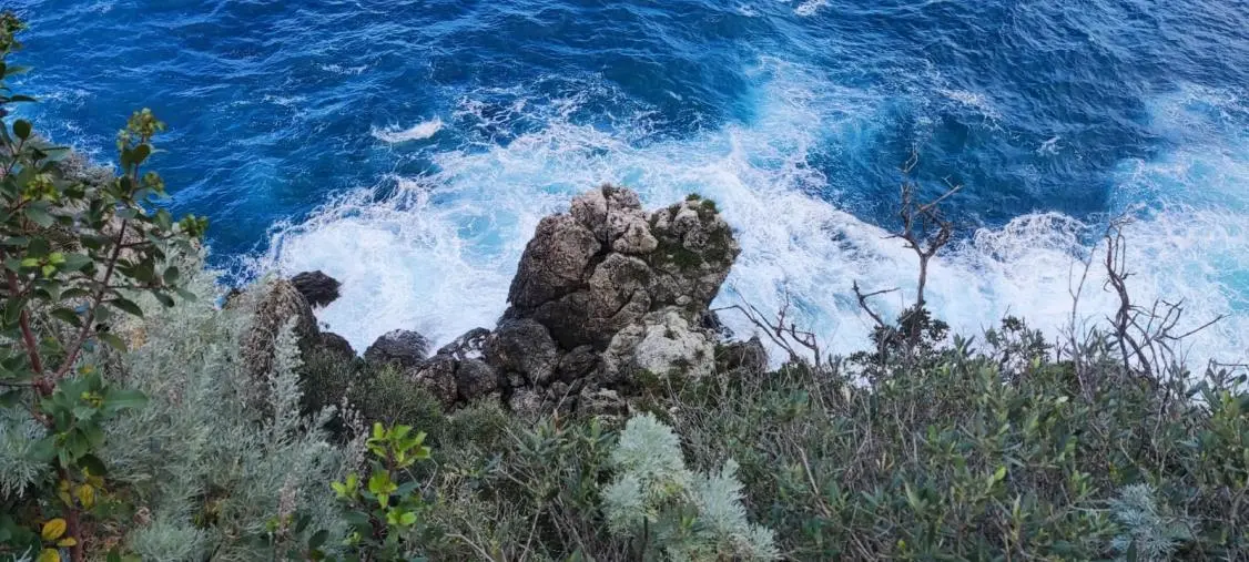 images Giornata Mondiale degli Oceani, Calabria e Arpacal faranno la loro parte per la tutela del mare