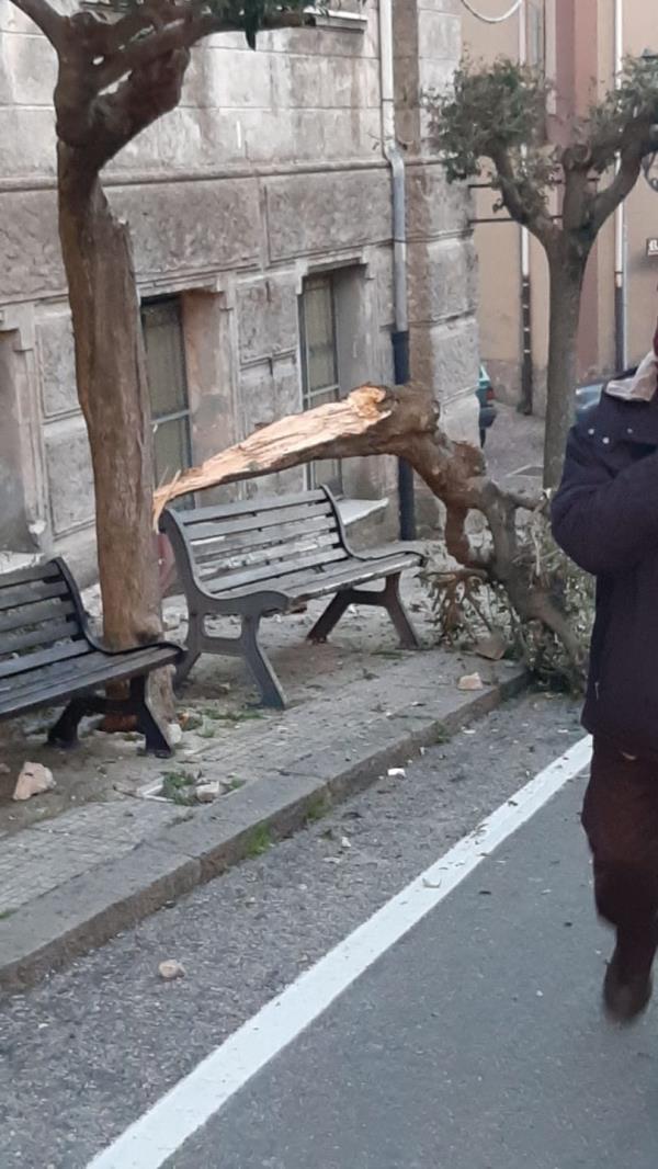 images Si stacca un pezzo di cornicione dal palazzo comunale a Girifalco, miracolosamente illesa una persona