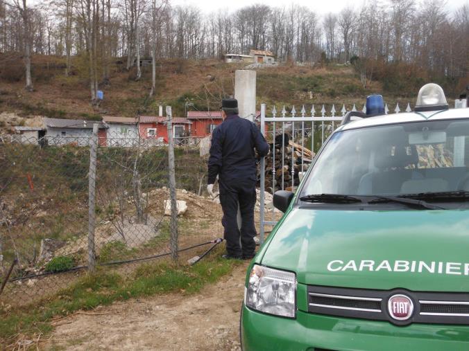 Distrutto e "colonizzato" un bosco comunale sottoposto a vincolo ambientale in provincia di Reggio Calabria: sette denunce