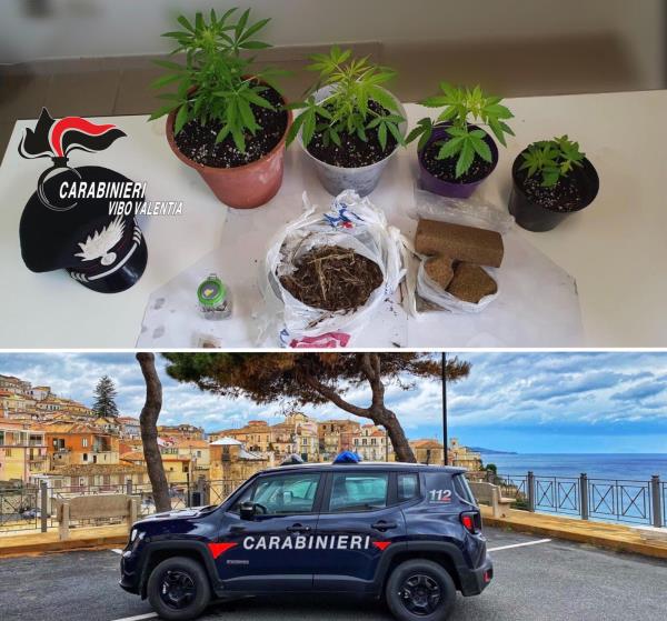 images Beccato e arrestato con 200 grammi di marijuana a Pizzo: a tradirlo la passeggiata con il cane