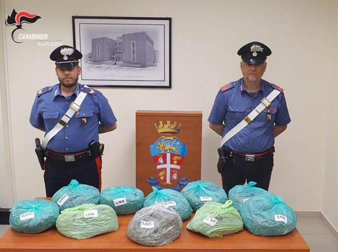 images Beccato in auto con 10 kg di marijuana: arrestato un 27enne nel Reggino