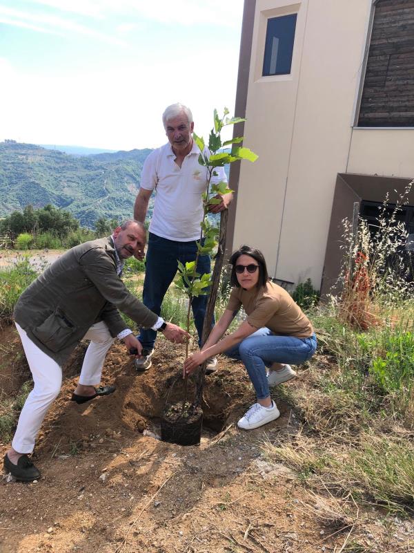 images Vitambiente e Fioccata Srl piantumano alberi di quercia a Zagarise