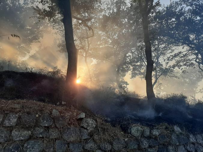 images Pomeriggio di roghi sulle colline tra Squillace e Stalettì (VIDEO e FOTO)