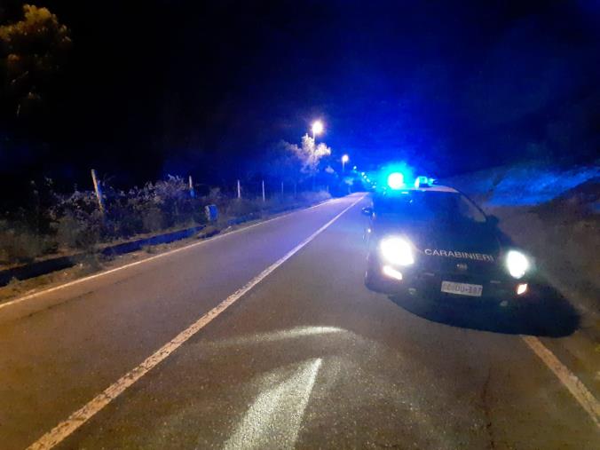 images Incidente vicino il semaforo di Squillace. Auto investe e uccide un cinghiale