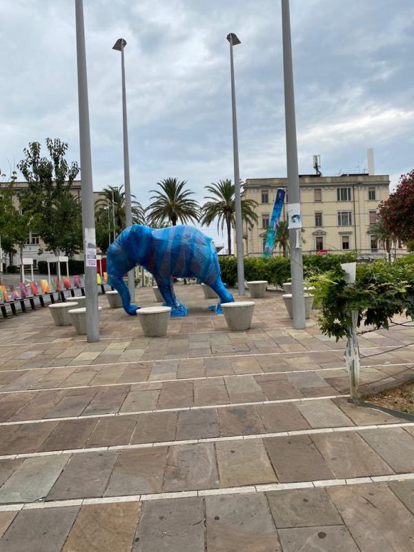 images Arriva un elefante in Piazza Matteotti a Catanzaro, è il primo dello "zoo" della Cracking Art (VIDEO)