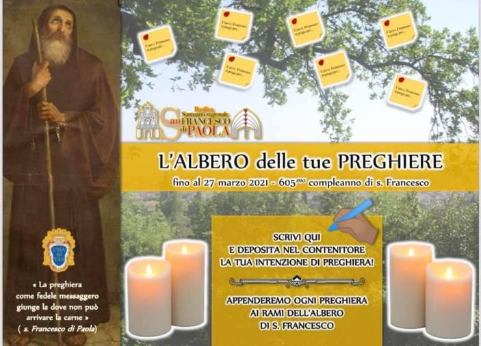 images Paola, i Frati inventano "L'albero di San Francesco", per raccogliere le preghiere dei fedeli