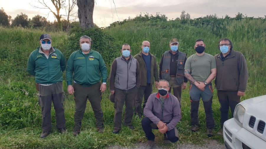 images Girifalco. Emergenza cinghiali: la Regione manda i selecontrollori